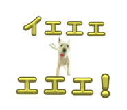 674666390