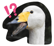 674666394