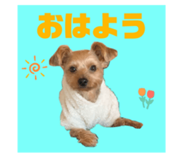 674680846