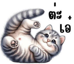 674681662