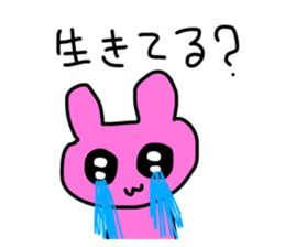 674705062