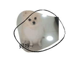 674728793