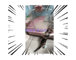 674733321