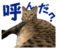 674737312
