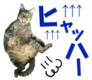 674737318