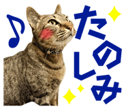 674737319