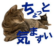 674737322