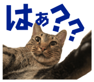 674737324