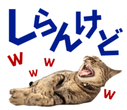 674737336