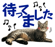 674737340