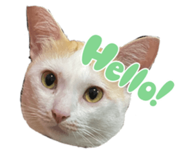 674740242