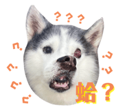 674762462
