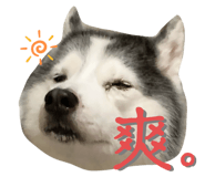 674762463