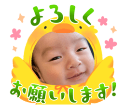 674764028