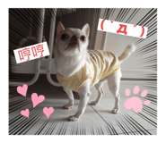 674766542
