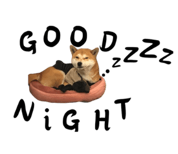 674766593