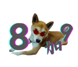 674766594