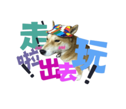 674766596