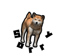 674766601