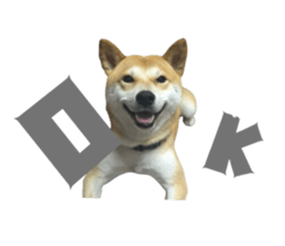 674766610