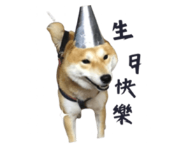 674766612