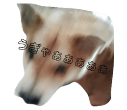 674772148