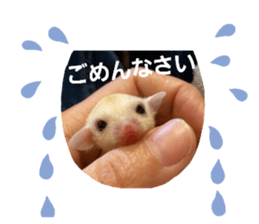 674773326