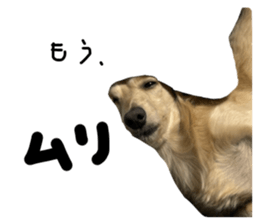 674908247