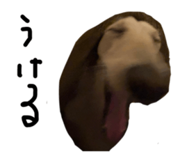 674908250