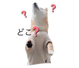 674911089