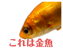 674914245