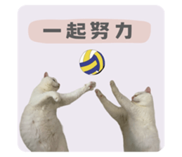 674928416