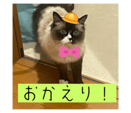 674936700