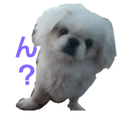 674947901