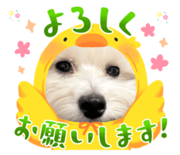 674962783