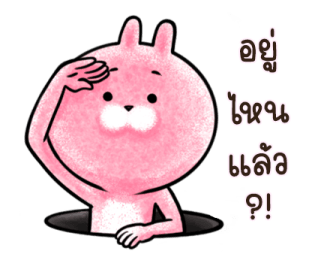 ต่ายน้อย ปิ๊กกี้ รูปที่ 4