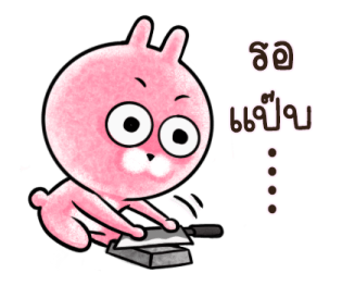 ต่ายน้อย ปิ๊กกี้ รูปที่ 5