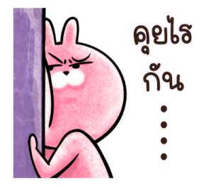 ต่ายน้อย ปิ๊กกี้ รูปที่ 8