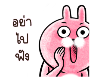 ต่ายน้อย ปิ๊กกี้ รูปที่ 10