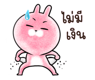 ต่ายน้อย ปิ๊กกี้ รูปที่ 11