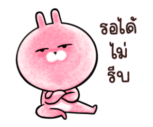 ต่ายน้อย ปิ๊กกี้ รูปที่ 13