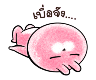 ต่ายน้อย ปิ๊กกี้ รูปที่ 15