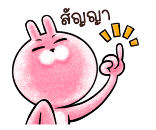 ต่ายน้อย ปิ๊กกี้ รูปที่ 16