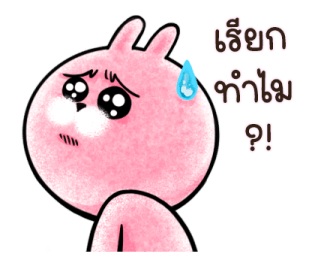 ต่ายน้อย ปิ๊กกี้ รูปที่ 19