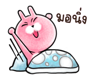 ต่ายน้อย ปิ๊กกี้ รูปที่ 20