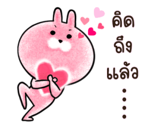 ต่ายน้อย ปิ๊กกี้ รูปที่ 23
