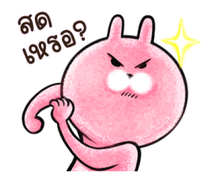 ต่ายน้อย ปิ๊กกี้ รูปที่ 33