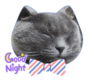 674967544