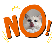 674967580