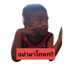 67497059